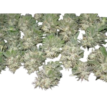 Painkiller