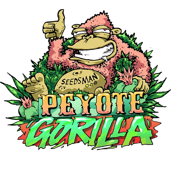 Peyote Gorilla – Produktansicht