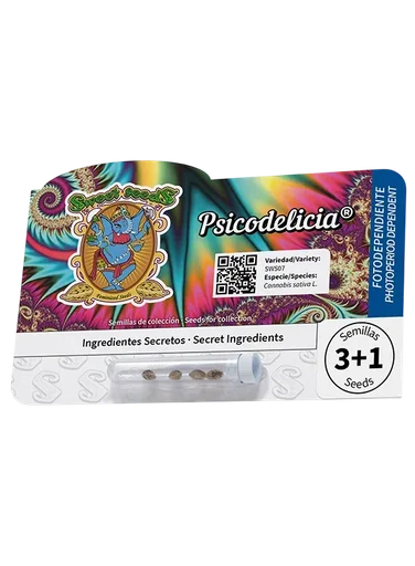 Psicodelicia