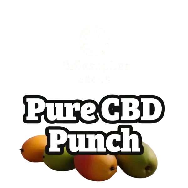Pure CBD Punch – Produktansicht