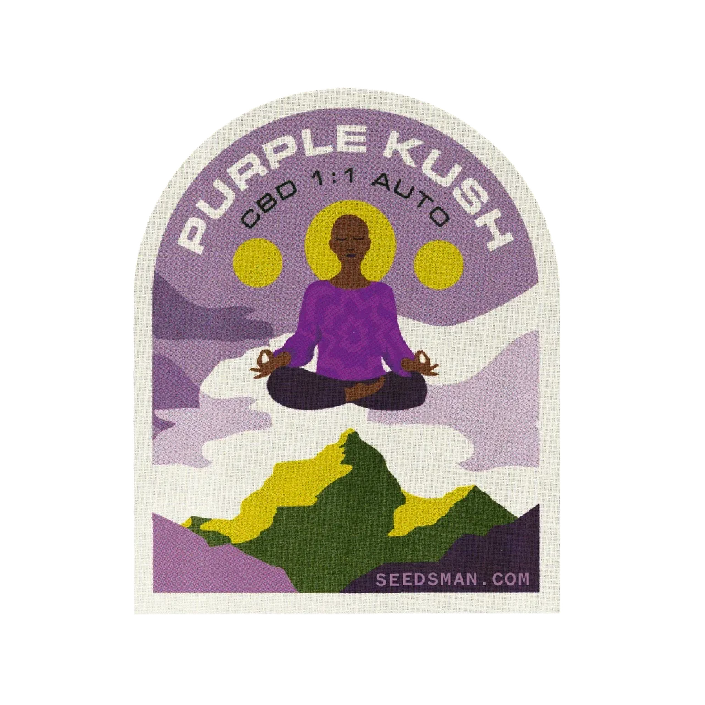 Purple Kush CBD 1:1 Auto – Produktansicht