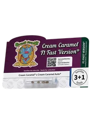 Cream Caramel F1 FAST Version