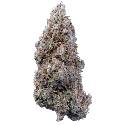 Crème Bubbly Auto