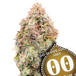Do-Si-Dos Cookies FAST