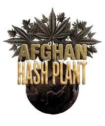 Afghan Hash Plant