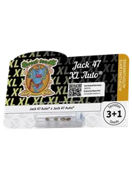 Jack 47 XL Auto