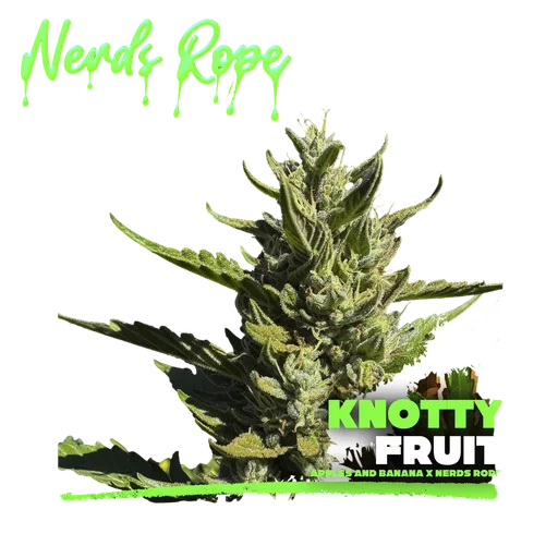 Knotty Fruit