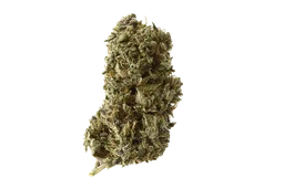 Kosher Tangie Kush