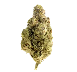 Magic OG Kush