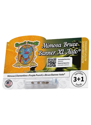 Mimosa Bruce Banner XL Auto