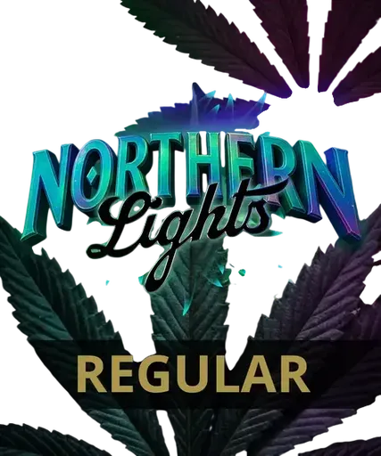 Northern Lights