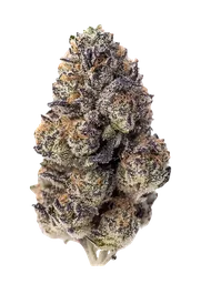Papaya Sherbet
