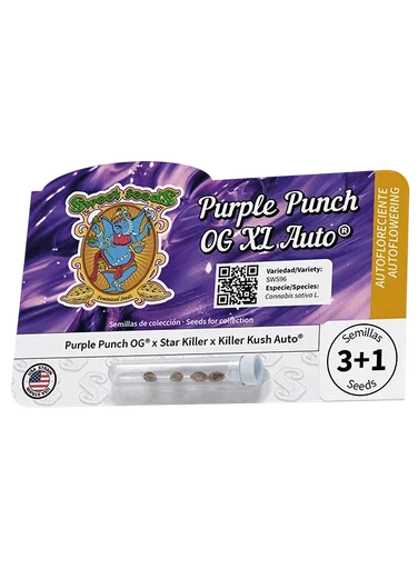 Purple Punch OG XL Auto