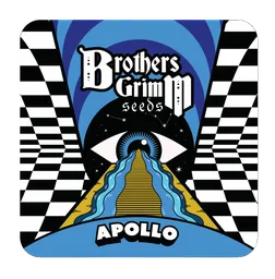 Apollo