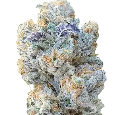 Slurricane