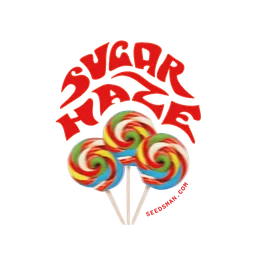Sugar Haze