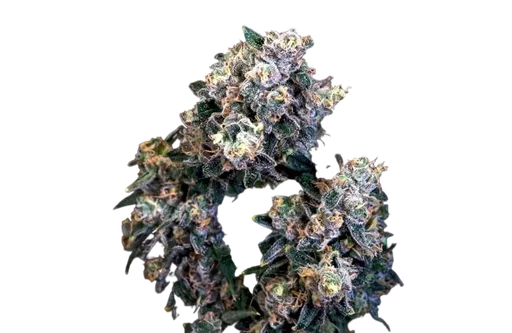 Super Sour Runtz