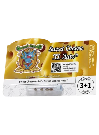 Sweet Cheese XL Auto