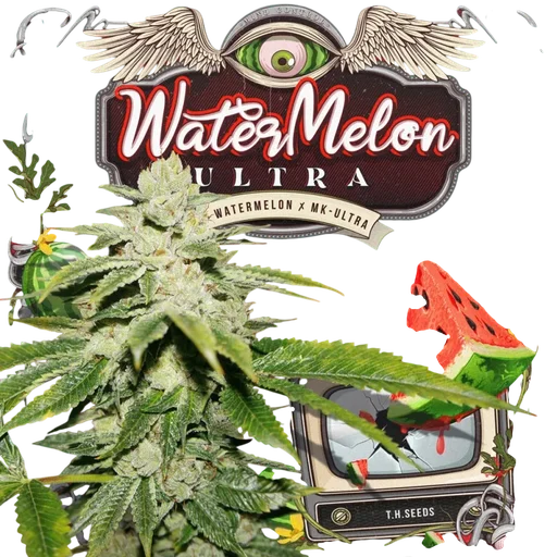 WaterMelon Ultra