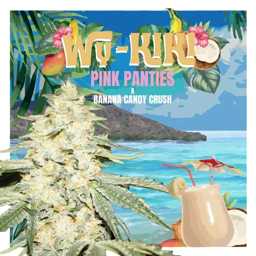 Wy-Kiki