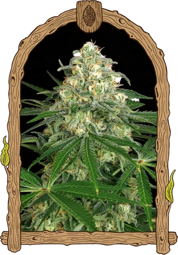 Z & Z Auto