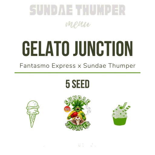 Gelato Junction Auto