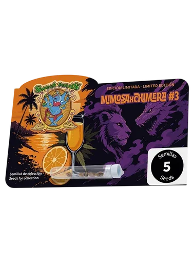 Mimosa x Chimera #3