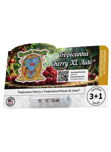 Tropicanna Cherry XL Auto