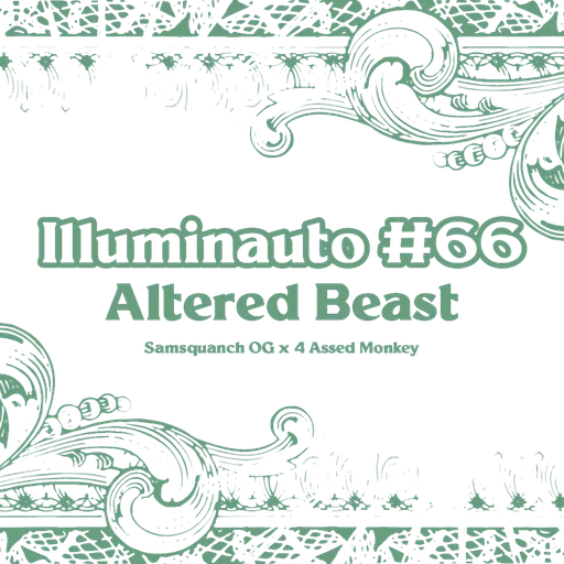 Altered Beast Auto