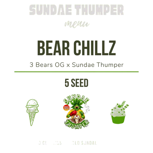 Bear Chillz Auto