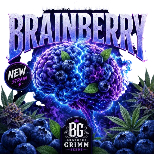 Brainberry