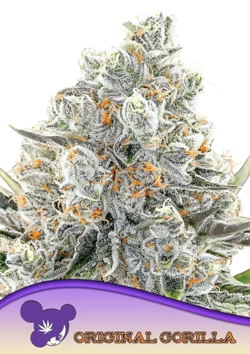 Original Gorilla #4
