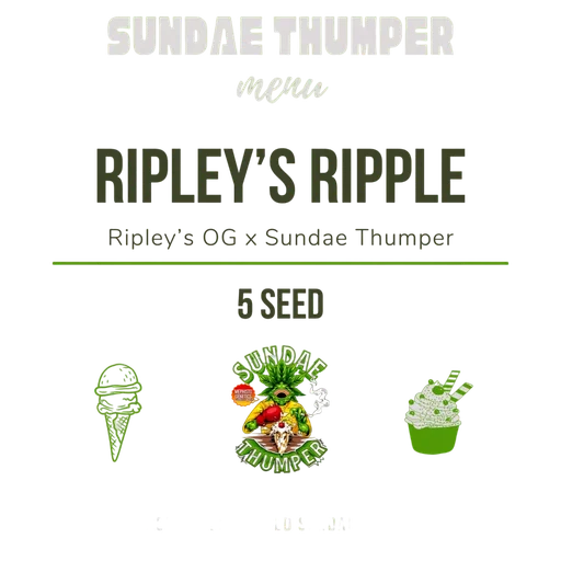 Ripley's Ripple Auto