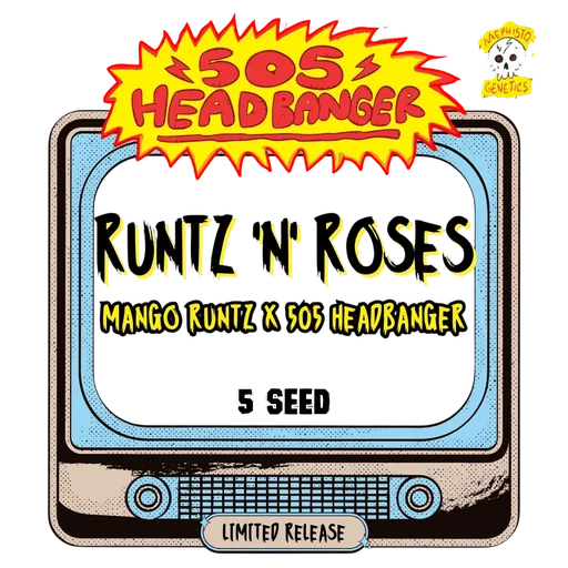 Runtz 'n' Roses Auto