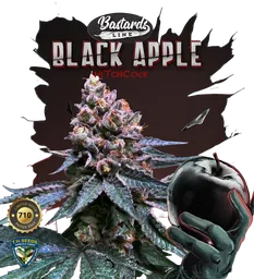 Black Apple Hitchcock