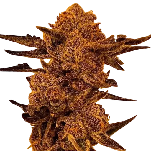 Black Cherry Flambe