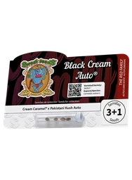 Black Cream Auto