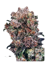 Blueberry