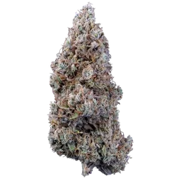 Bubbasquanch Auto