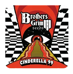 Cinderella 99
