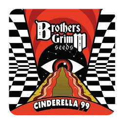 Cinderella 99